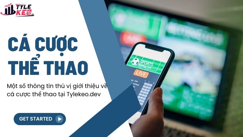 Một số thông tin thú vị giới thiệu về cá cược thể thao tại cricketworldcupwinners.com